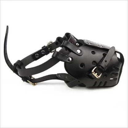 Muselière en cuir pour chien vue de face, structure ajourée