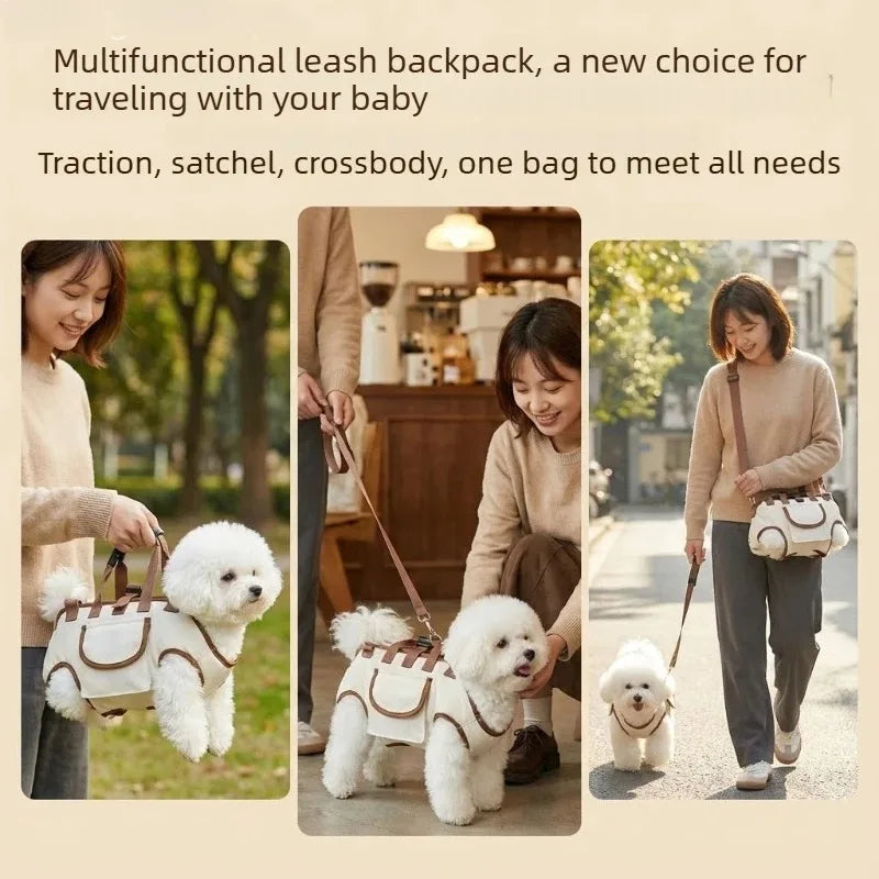 Petit chien installé dans le sac de transport respirant