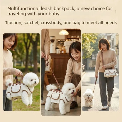 Petit chien installé dans le sac de transport respirant