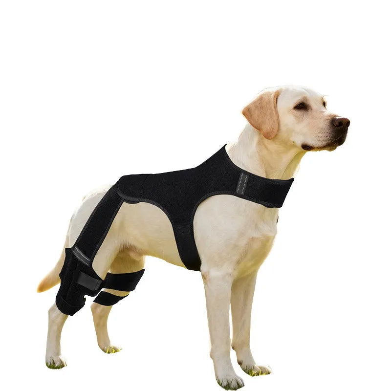 Attelle pour patte arrière de chien Revixay, coloris noir