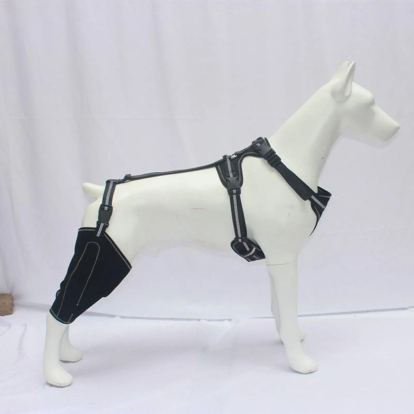 Guide des tailles M L XL de la genouillère pour chien