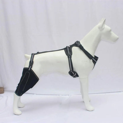Guide des tailles M L XL de la genouillère pour chien