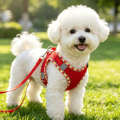 Coloris disponibles de l'ensemble harnais et laisse pour chien