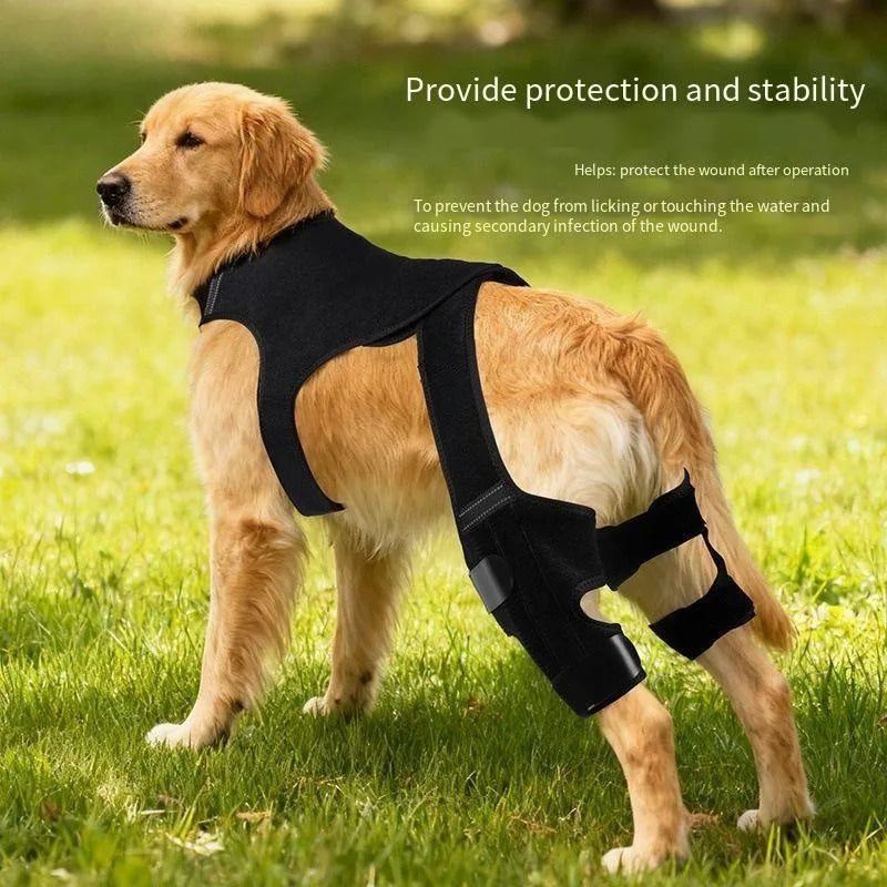 Sangles réglables de l'attelle pour patte arrière de chien