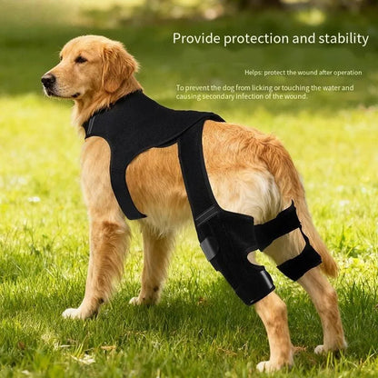 Sangles réglables de l'attelle pour patte arrière de chien