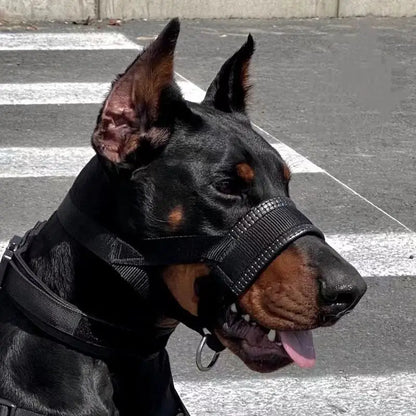 Chien portant la muselière nylon réglable en promenade