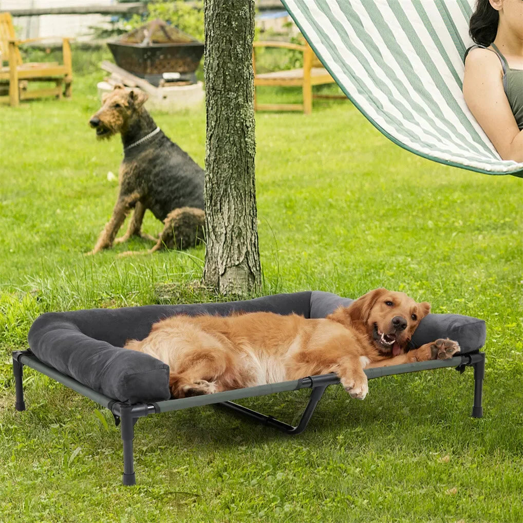 Maille tendue et cadre en acier du lit de camp pour chien