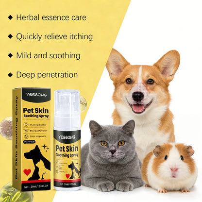 Application du spray apaisant sur la peau d'un chien