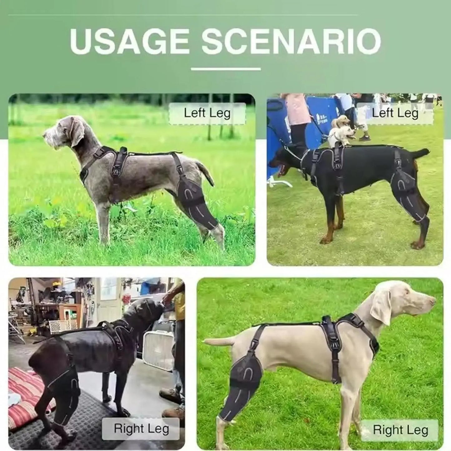 Sangles auto-agrippantes réglables de la genouillère pour chien