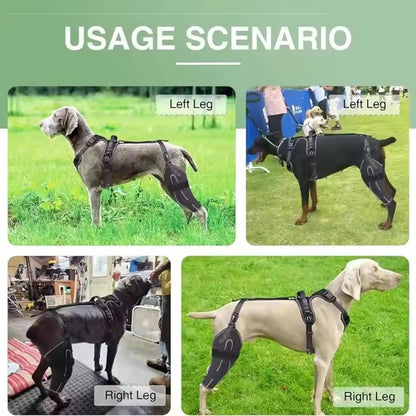 Sangles auto-agrippantes réglables de la genouillère pour chien