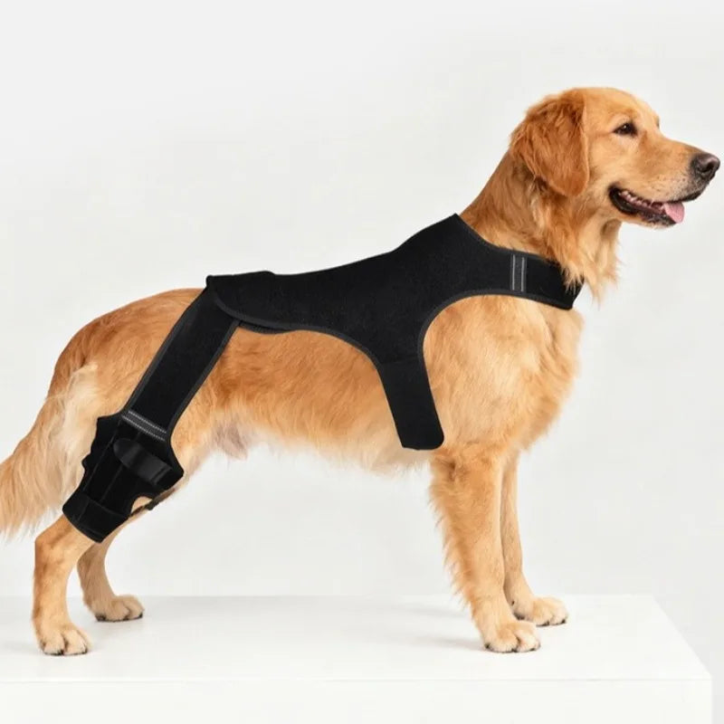 Détail du tissu respirant de l'attelle pour patte de chien