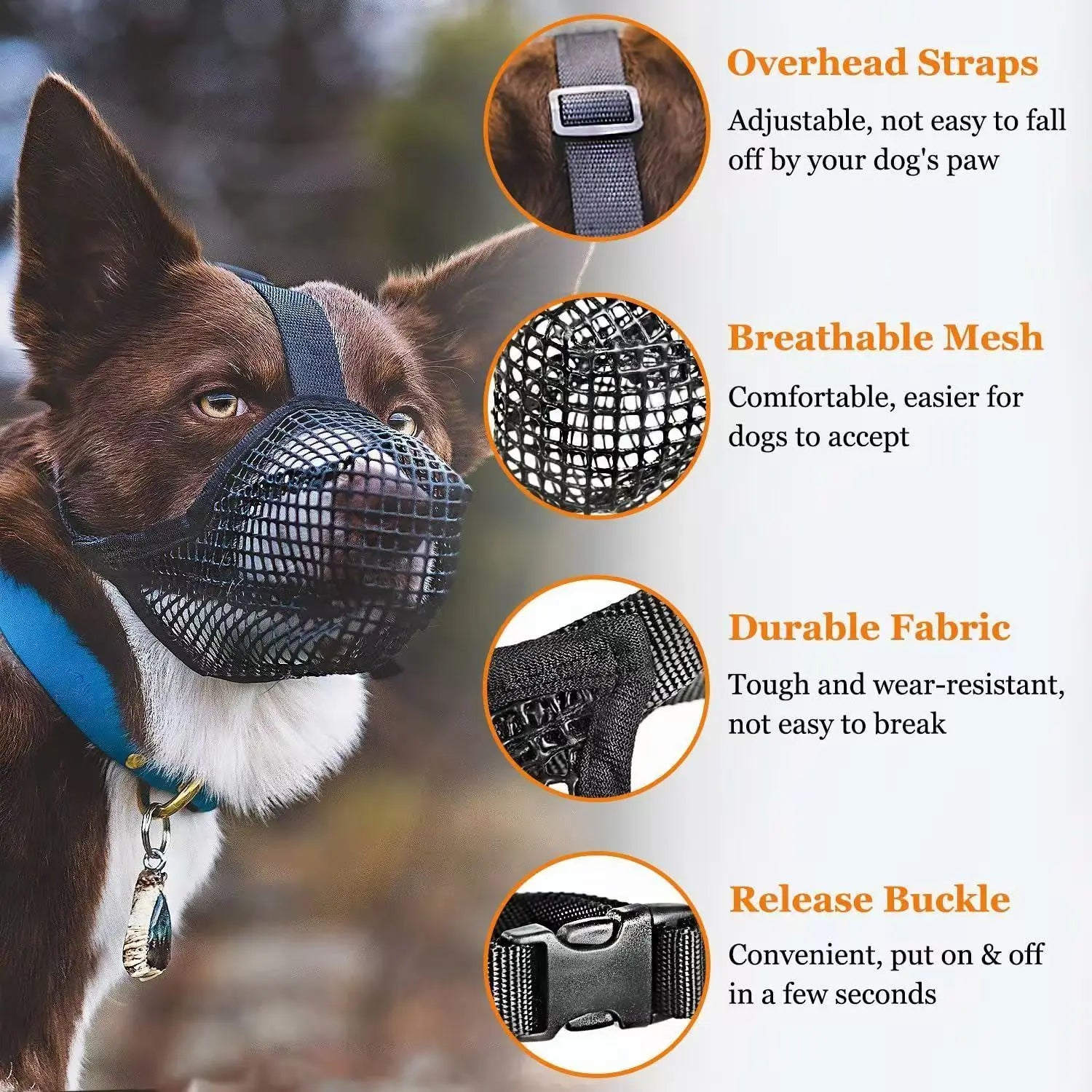Muselière grillagée pour grand chien Revixay, coloris noir