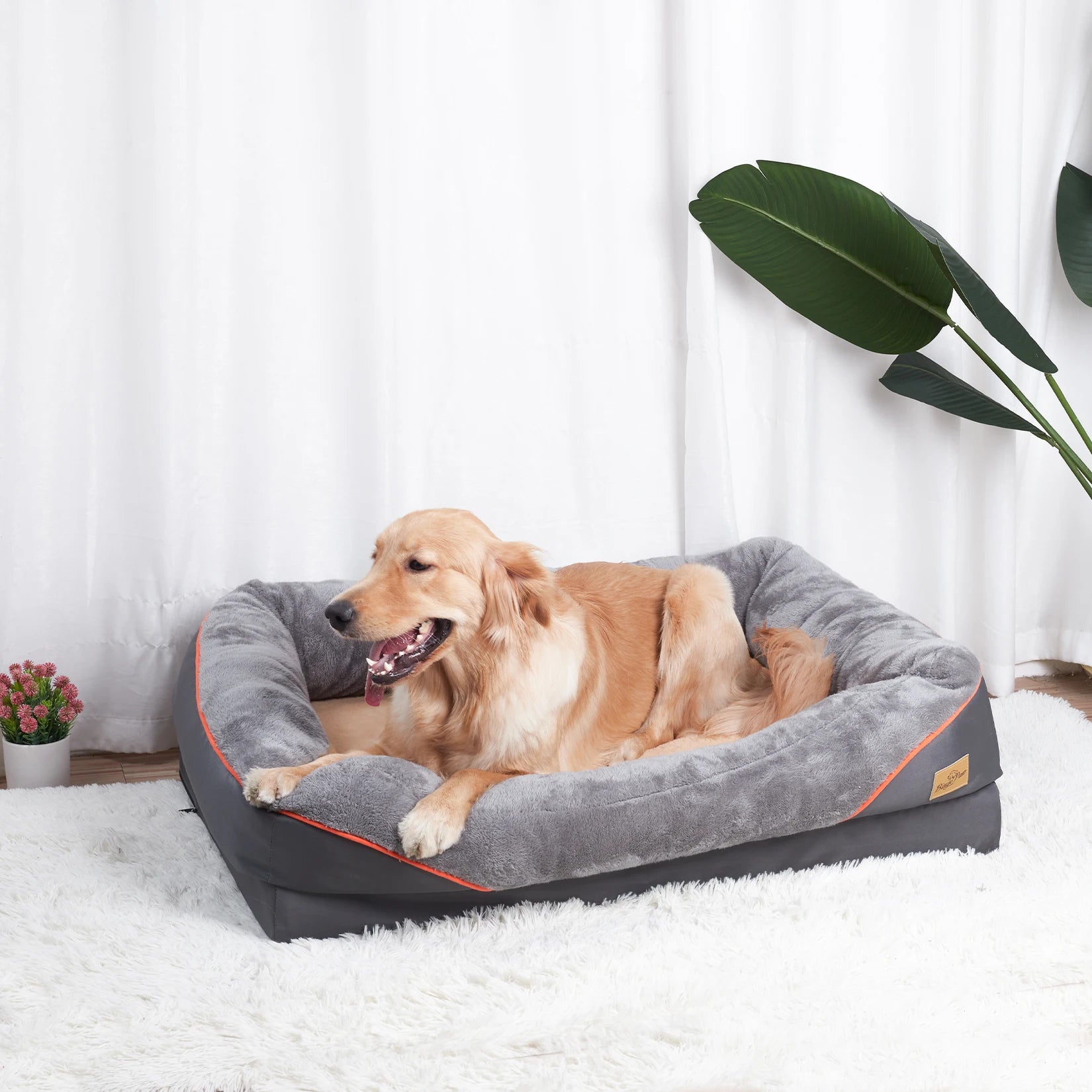 Housse déhoussable à fermeture éclair du lit pour chien