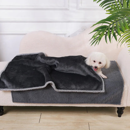 Chien installé sur la couverture en flanelle imperméable