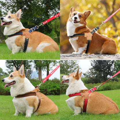 Forme en Y du harnais qui libère les épaules du chien