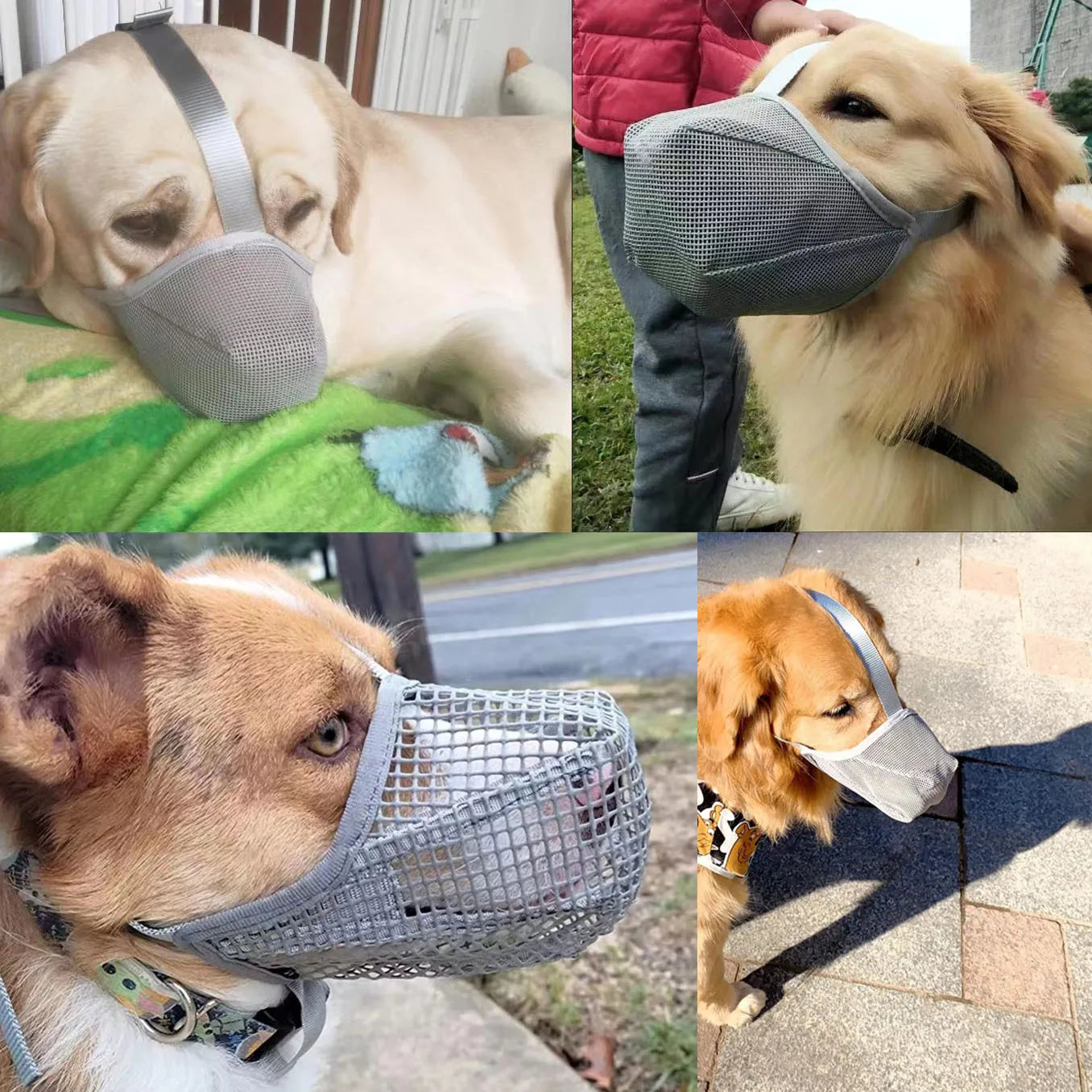 Muselière anti-ramassage coloris gris pour chien