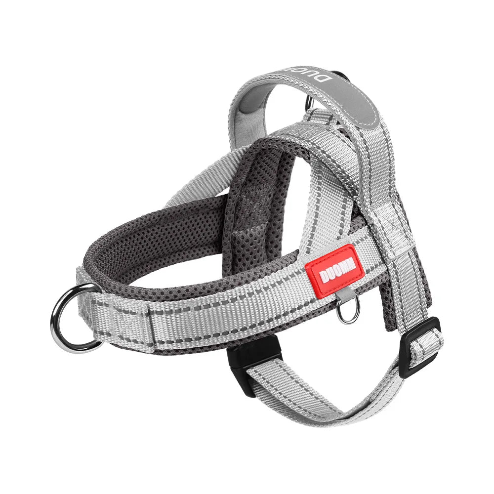 Guide des tailles du harnais anti-traction pour petit chien