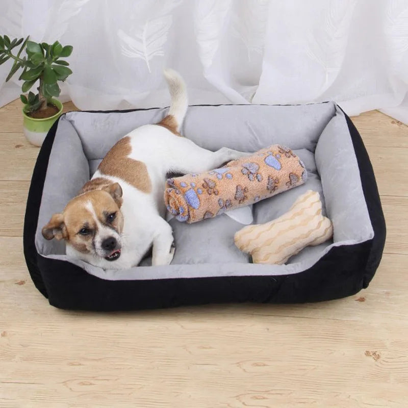 Lot 3 pièces : panier, couverture à pattes et jouet os pour chien