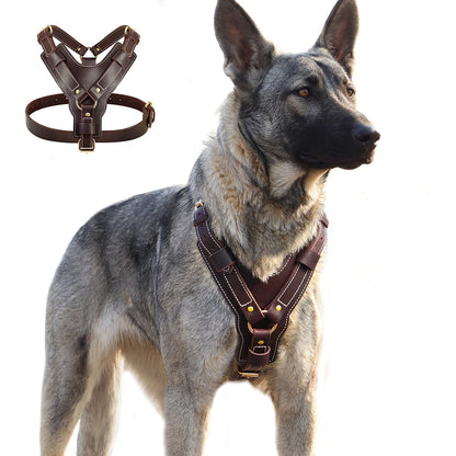 Harnais en cuir marron pour grand chien Revixay