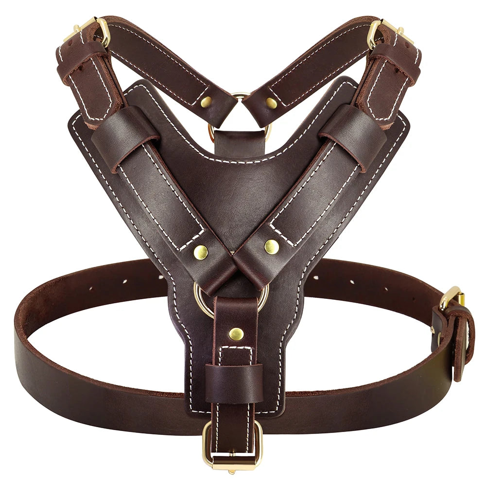 Détail du cuir véritable du harnais pour berger allemand