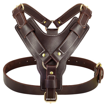 Détail du cuir véritable du harnais pour berger allemand