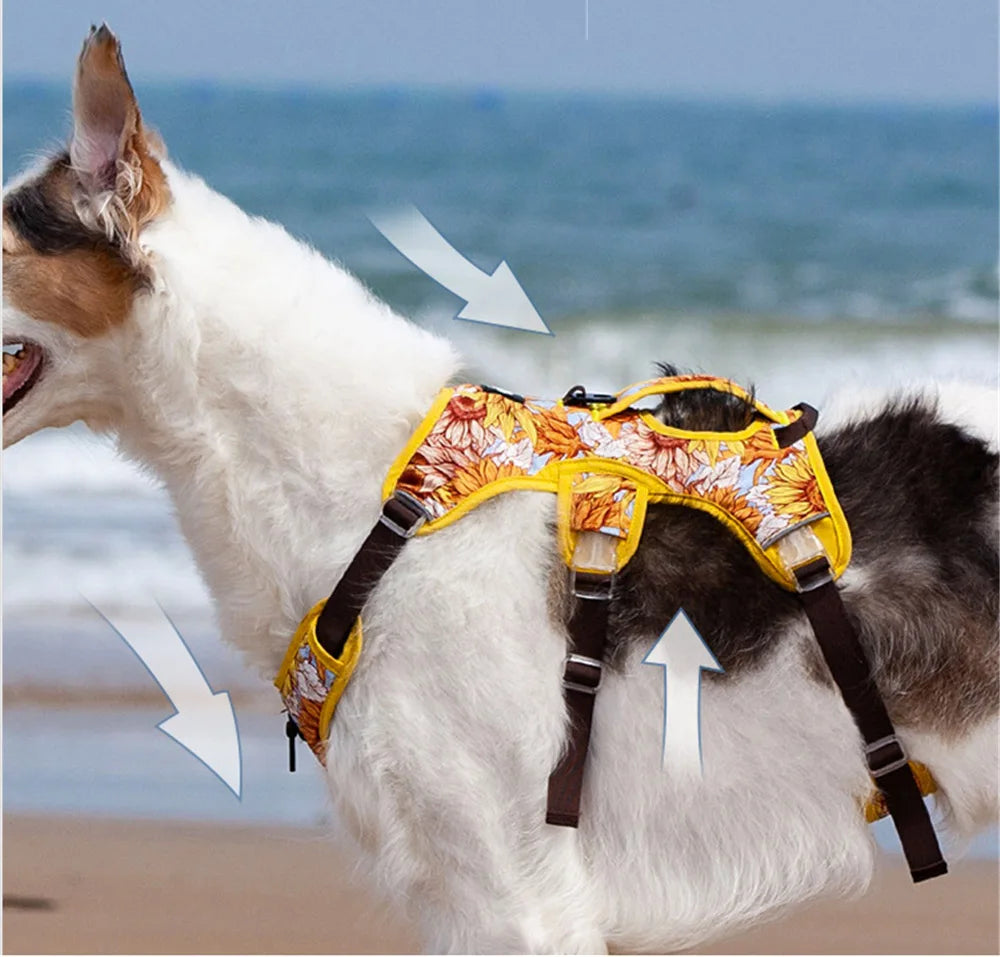 Attache frontale anti-traction et anneau dorsal du harnais pour chien