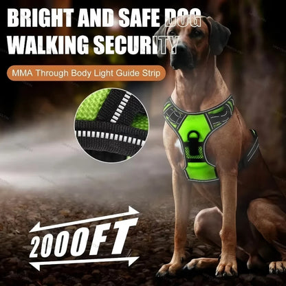 Coloris rouge, vert et bleu du harnais LED pour chien